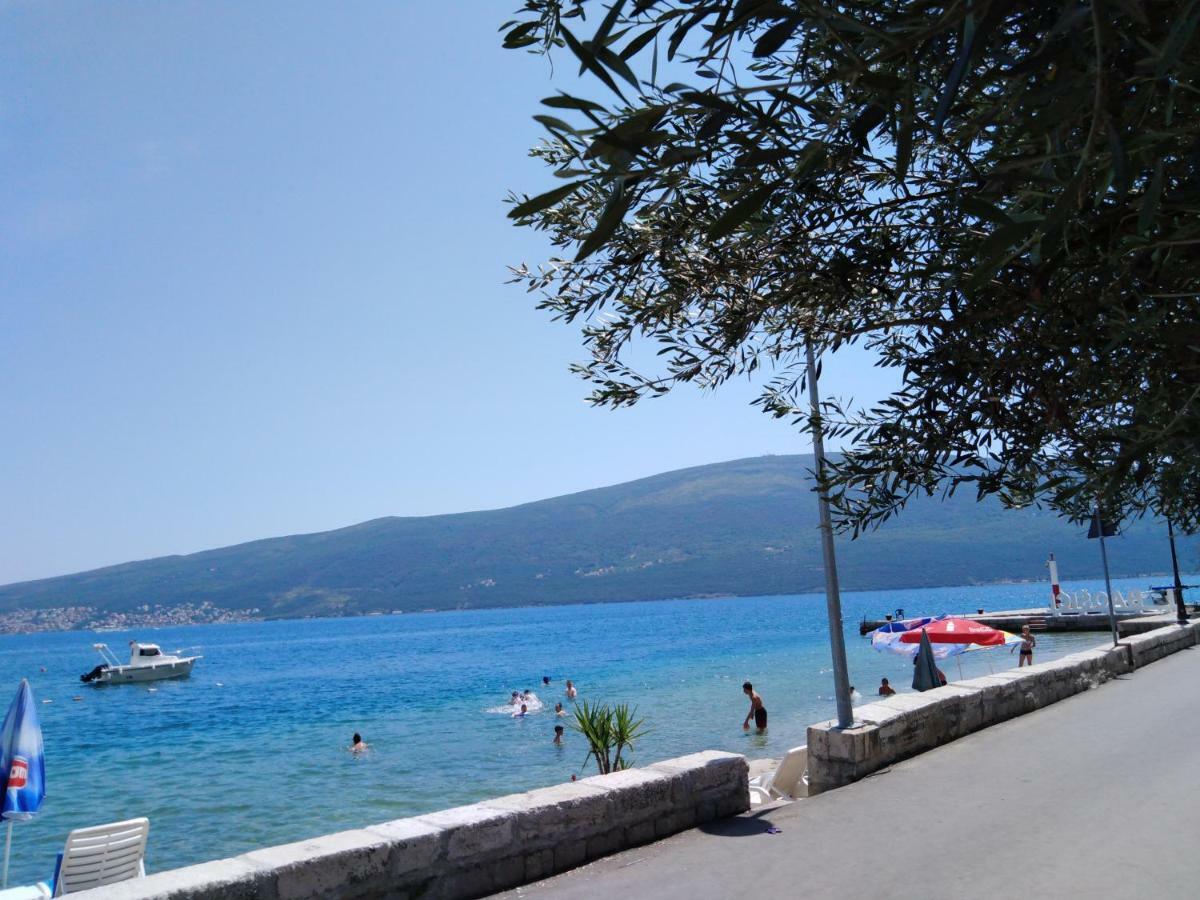 Apartman Gust Herceg Novi Ngoại thất bức ảnh